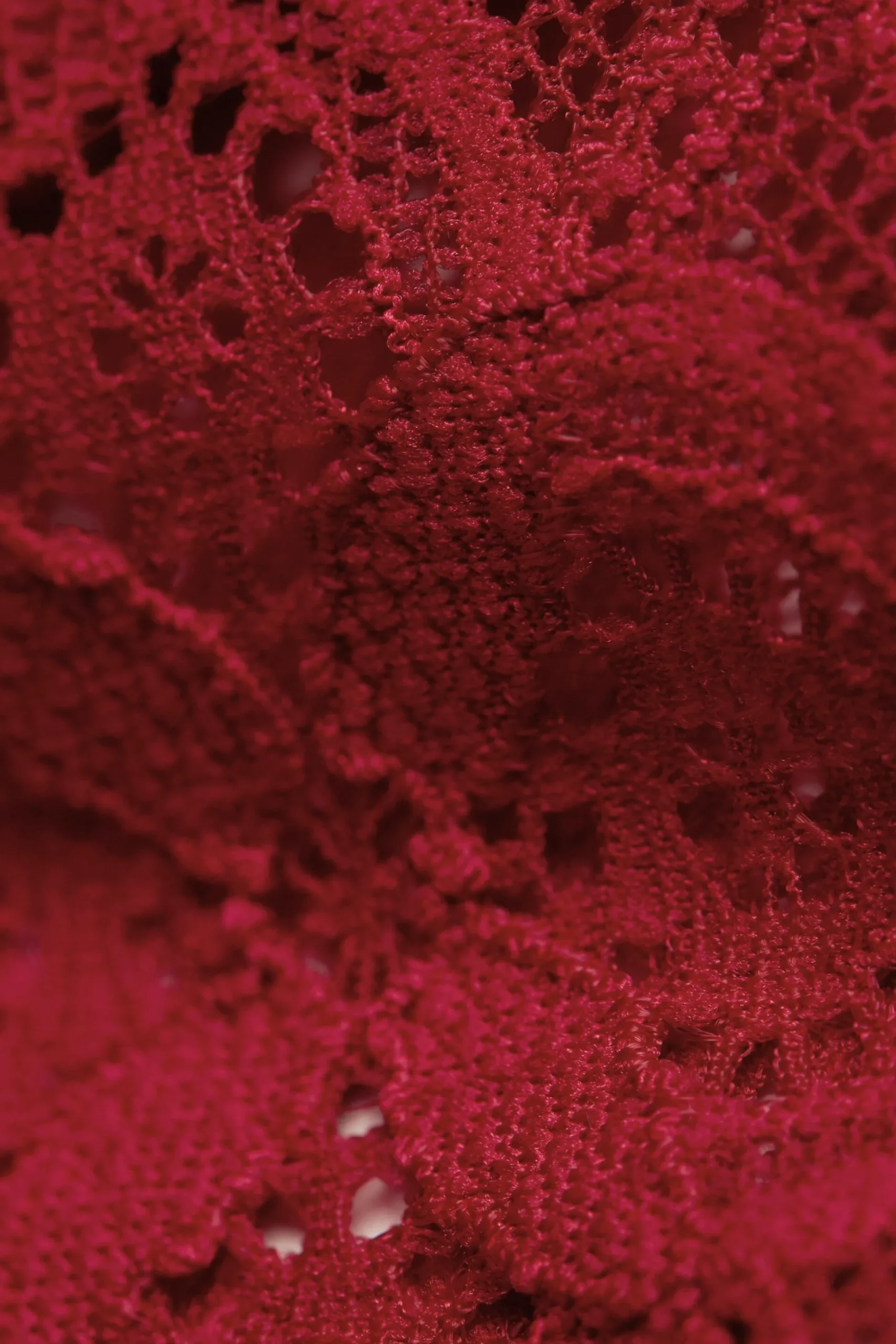 Low-Rise Lace trosor